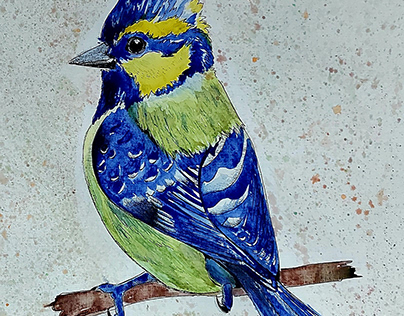 Watercolor feathered