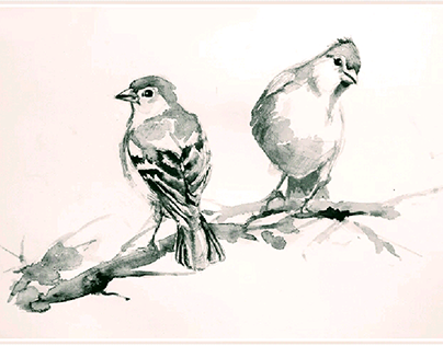 birds sketch design on paper