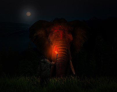 Image Compositing _ The Elephant