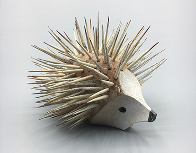 Erizo / Hedgehog