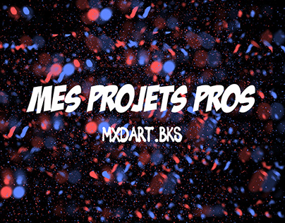 MES PROJETS PROS