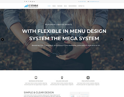 Marketplace - LT Stable - Stable WordPress theme