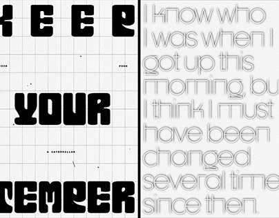 Typography Poster . 1