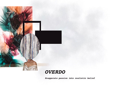Overdo (final project)