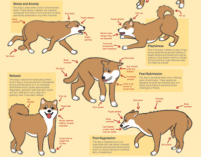 Dog behaviour poster/brochure (STOP. LOOK. ACCESS.)