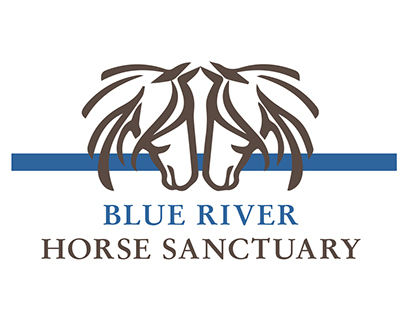 D4D | Identity for Blue River Horse Sanctuary, Colorado