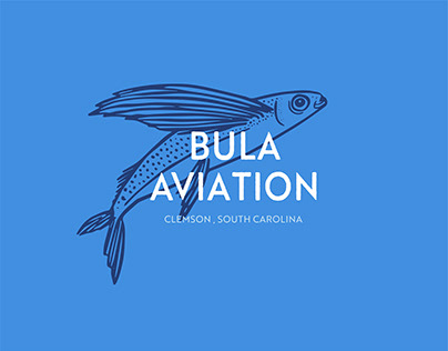 Bula Aviation - Branding