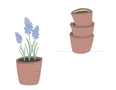 Muscari Heights |  Brand Project