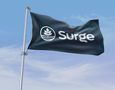 Surge | Branding