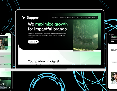Dapper Project On Wix