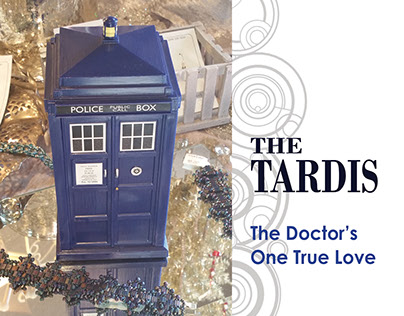 The TARDIS - The Doctor's One True Love