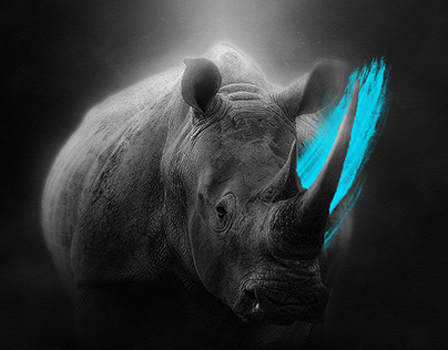 Sigfox Foundation - Save the rhinos Campaign