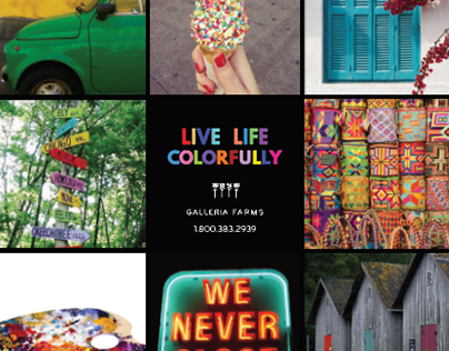 Live Life Colorfully - Catalog