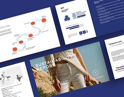 Sustainability Report & Web Experience