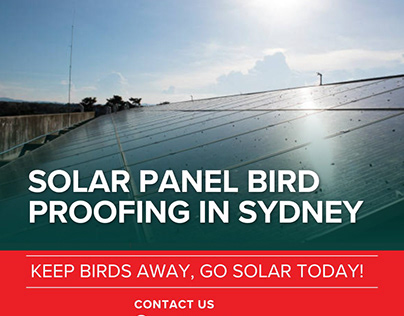 solar panel bird proofing sydney