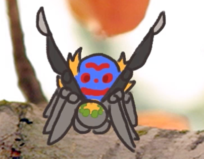 Peacock spider dance animation