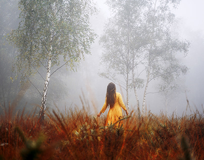 The Poetry of a Misty Morning