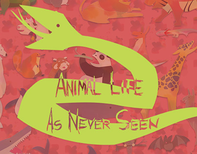 Animal Life As Never Seen