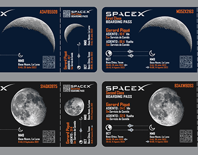 SpaceX Moon Ticket