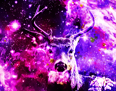 Animals In The Galaxy