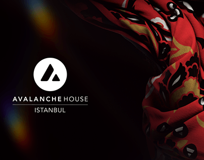 Project thumbnail - Avalanche House: Istanbul