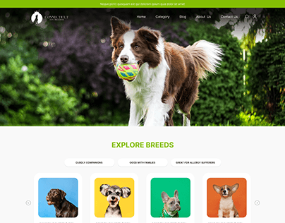 Connecticut Dog Breeders - Web Design & Brand Identity