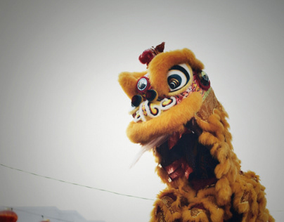 Photography of Lion Dance Performance