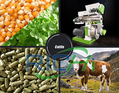 Total cattle feed pellet maker available