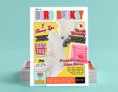 Bird Beekly Gossip Magazine