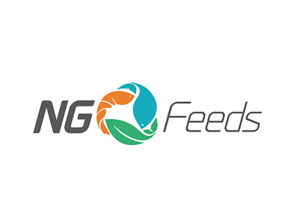 NG logo design