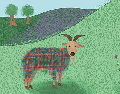 Angus the Tartan Goat