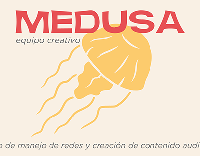 Branding | Medusa Equipo Creativo