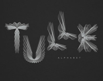 Tulle Alphabet A type every day