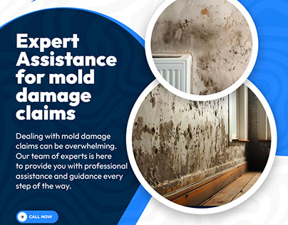 Expert Mold Damage Claim Assistance in Orlando, FL