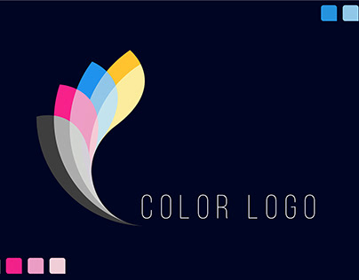 Professional Logo Design