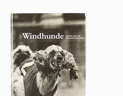 Windhunde – Berichte über die momentane Situation