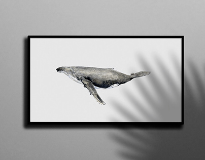 Art, watercolor, whale, whale art