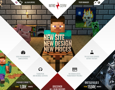 Nitroserv - brand and website redesign | 2013