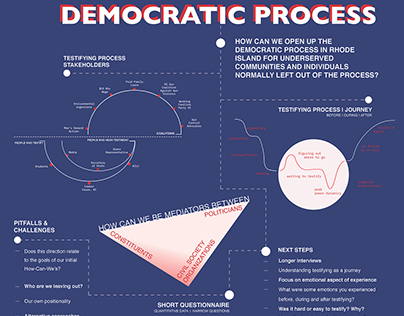 Dissecting the Democratic Process