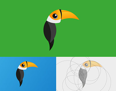 Toucan Bird Hoodie Illustration