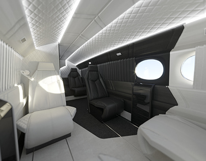 Restyling the interior of the aircraft Cessna 421