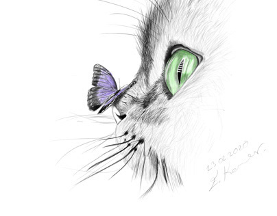 Kedi Çizimi / Cat Drawing