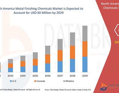 North America Metal Chemicals Finishing Market