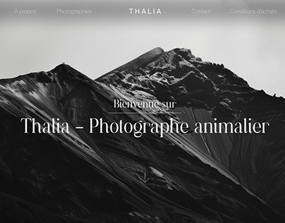 Photography webdesign website showcase