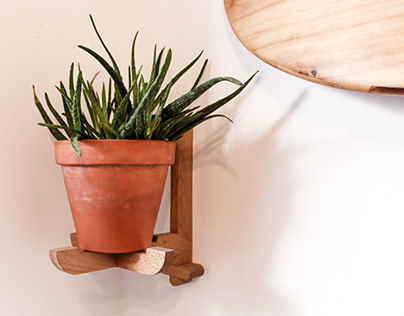 wall plant holder