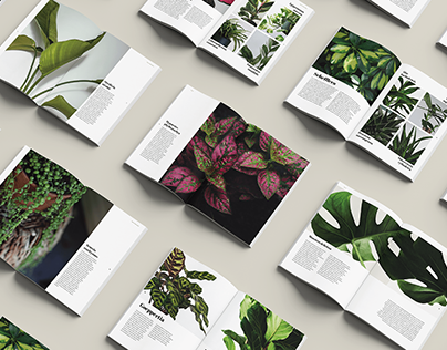 Magazine Design - Types Of Indoor Plants