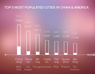 Demographic of China | Graphic Design & Motion Graphic