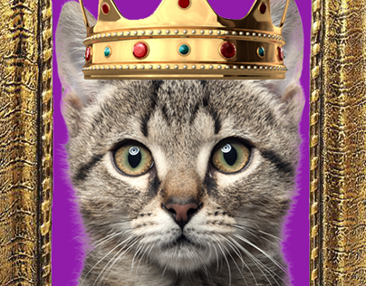 Cat, Crown and Boarder