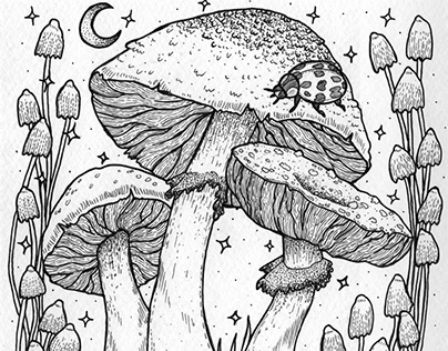 Project thumbnail - Magical fungi