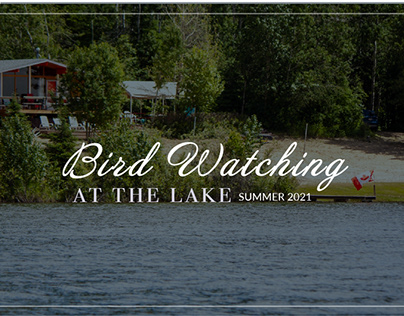 Bird Watching at the Lake - Summer 2021